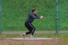 81